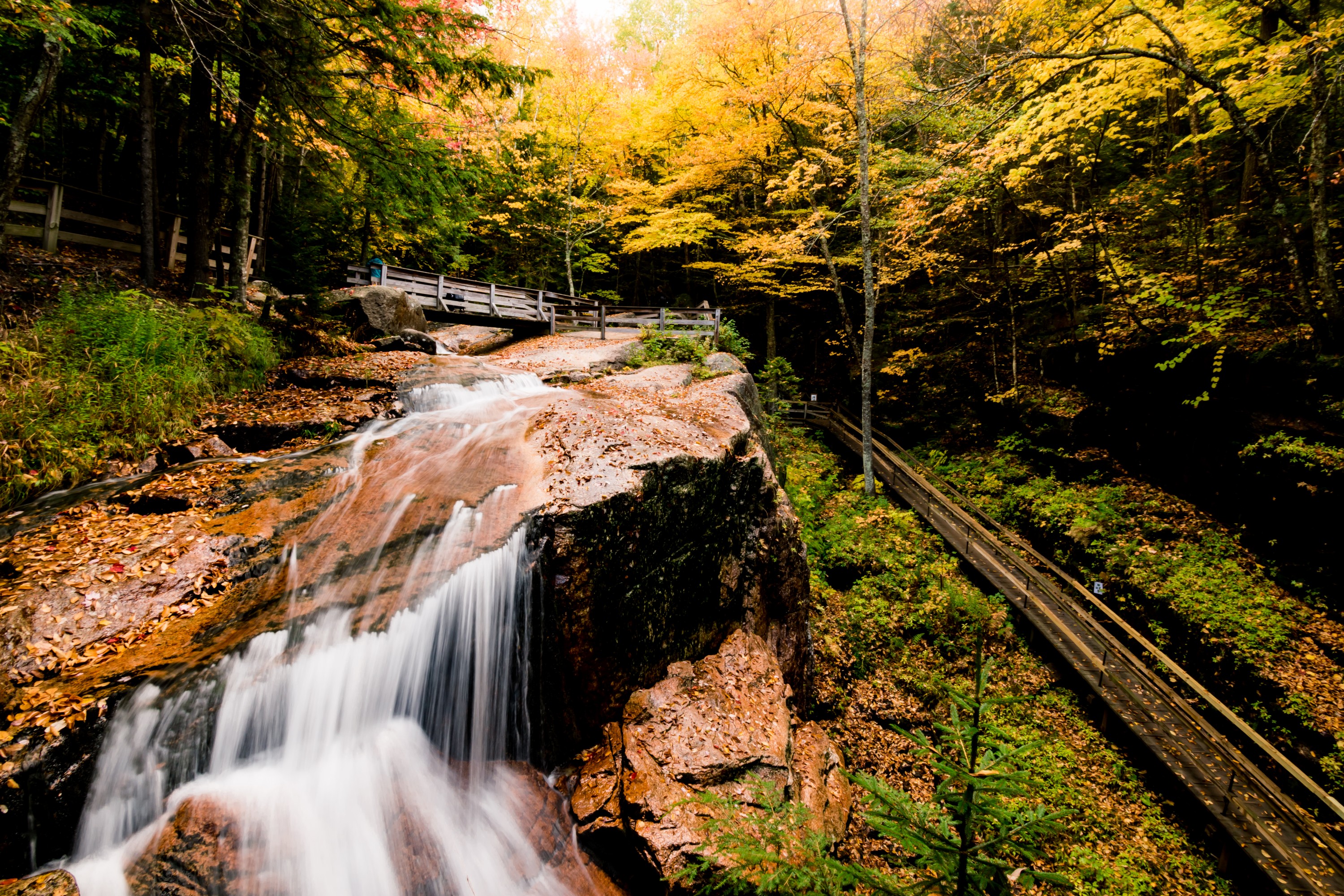 New Hampshire Franconia Notch White Mountains (2018/10) BANANAMASHER