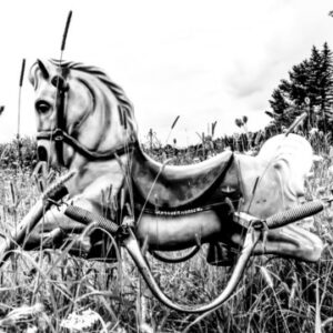 PREORDER! Ponyhenge [Zine]